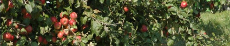 Centrale Paysanne Luxembourgeoise