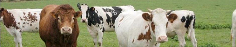 Centrale Paysanne Luxembourgeoise