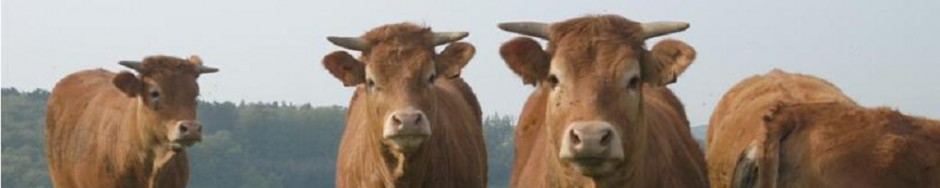 Centrale Paysanne Luxembourgeoise