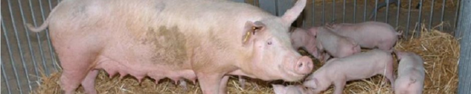 Centrale Paysanne Luxembourgeoise