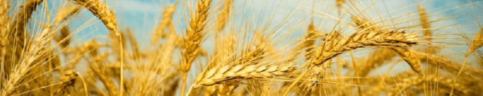 Centrale Paysanne Luxembourgeoise