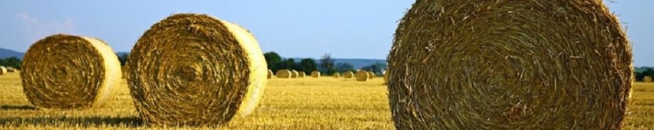 Centrale Paysanne Luxembourgeoise