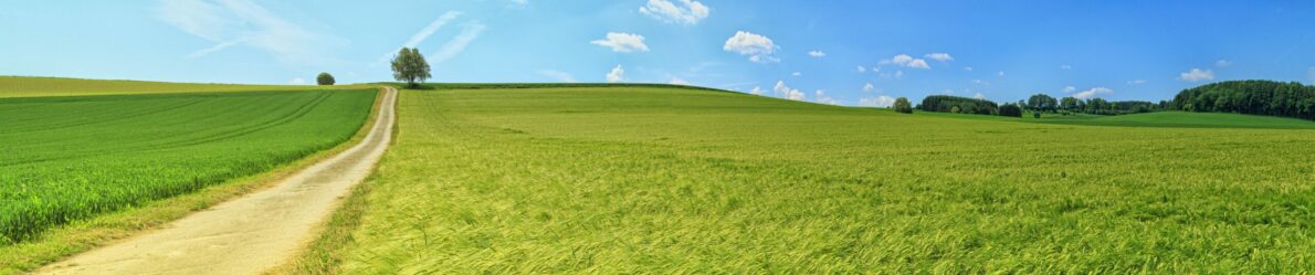 Centrale Paysanne Luxembourgeoise