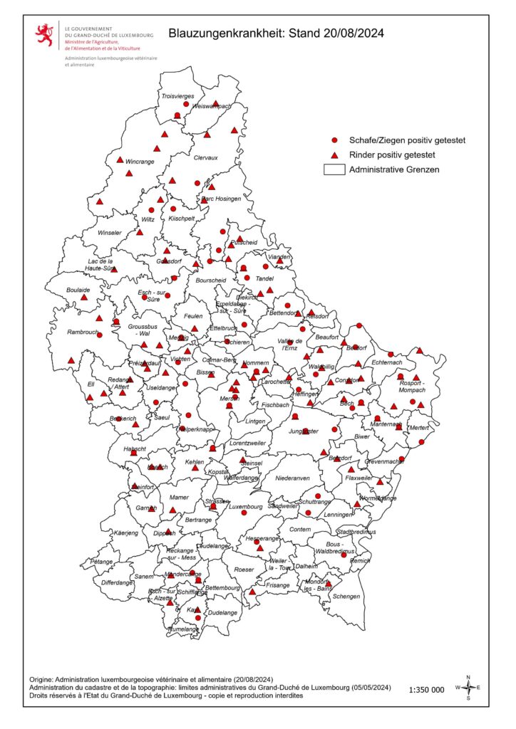 BLAUZUNGENKRANKHEIT [UPDATE]