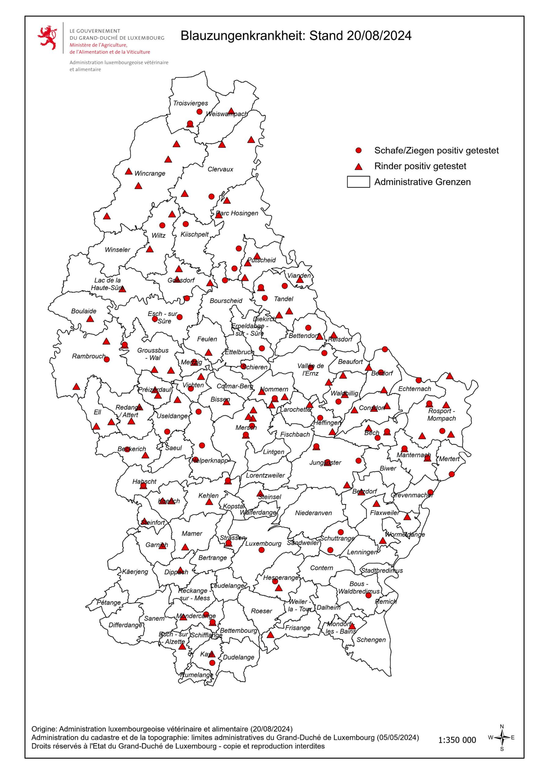 BLAUZUNGENKRANKHEIT [UPDATE]