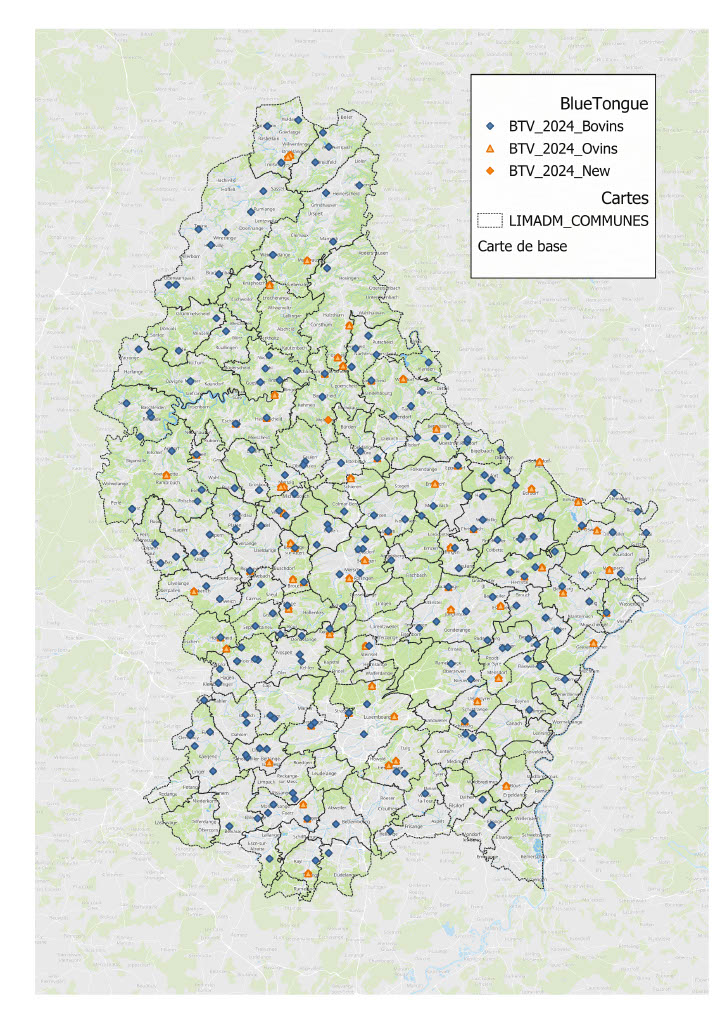 AKTUELLE SITUATION DER BLAUZUNGENKRANKHEIT [UPDATE VOM 4. SEPTEMBER]