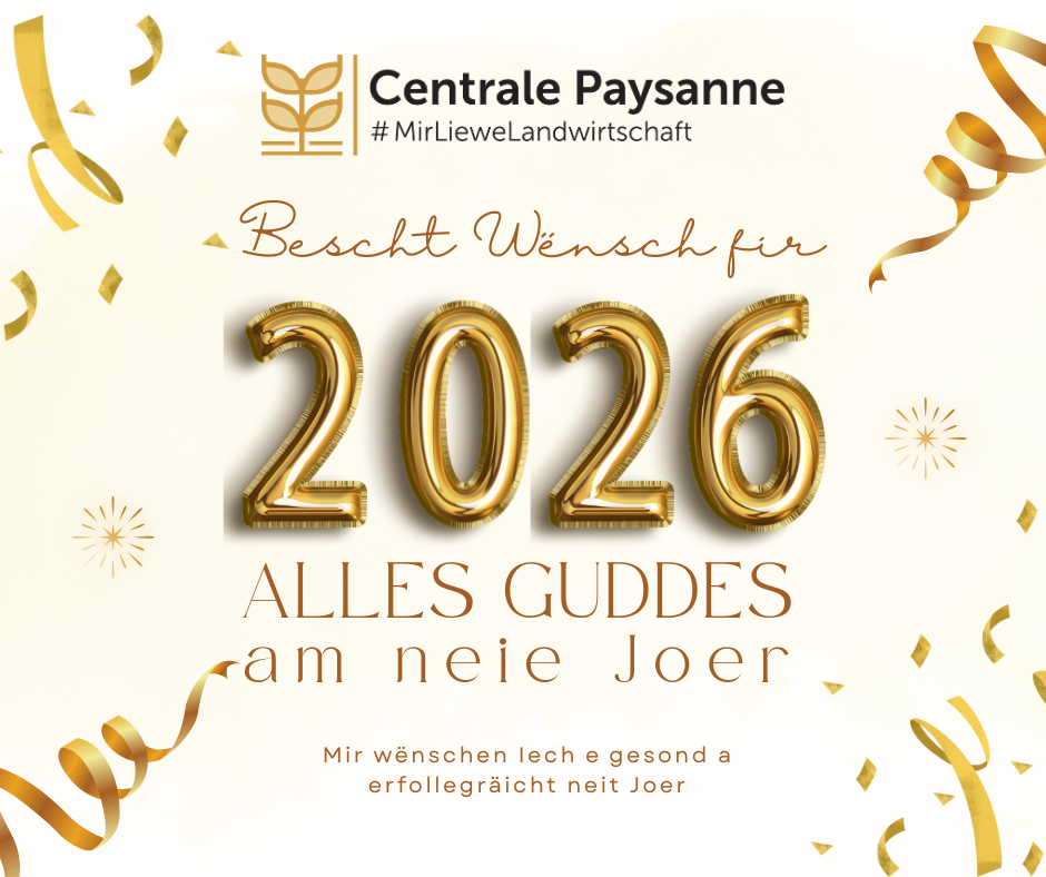 Mir wënschen Iech e gesond, erfollegräicht a glécklecht neit Joer 2026