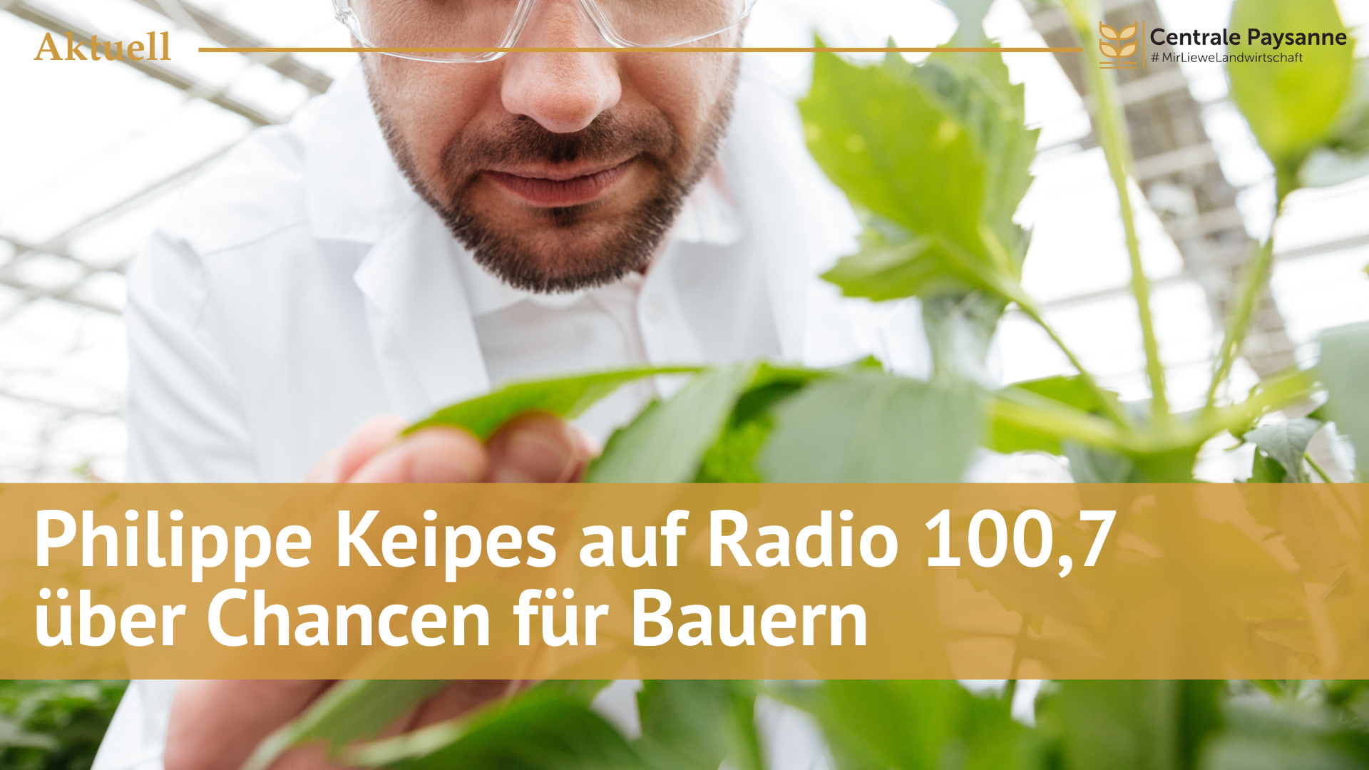 Philippe Keipes auf Radio 100,7 über Chancen für Bauern