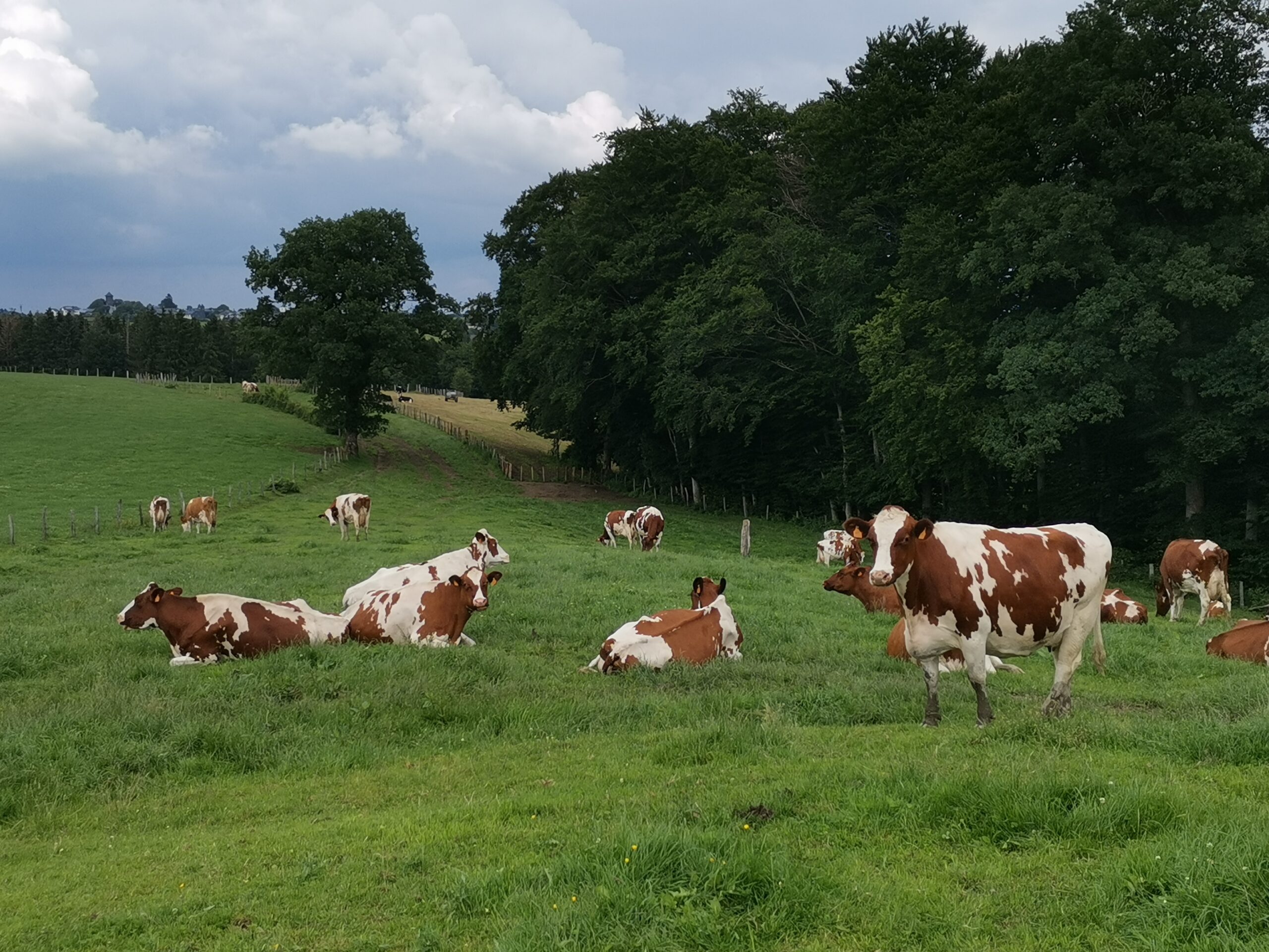 Dürre 2026: Landwirtschaftsministerium reagiert mit Erleichterungen für Landwirte